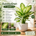 ต้นธรรมรักษา รุ่นเฮน่า