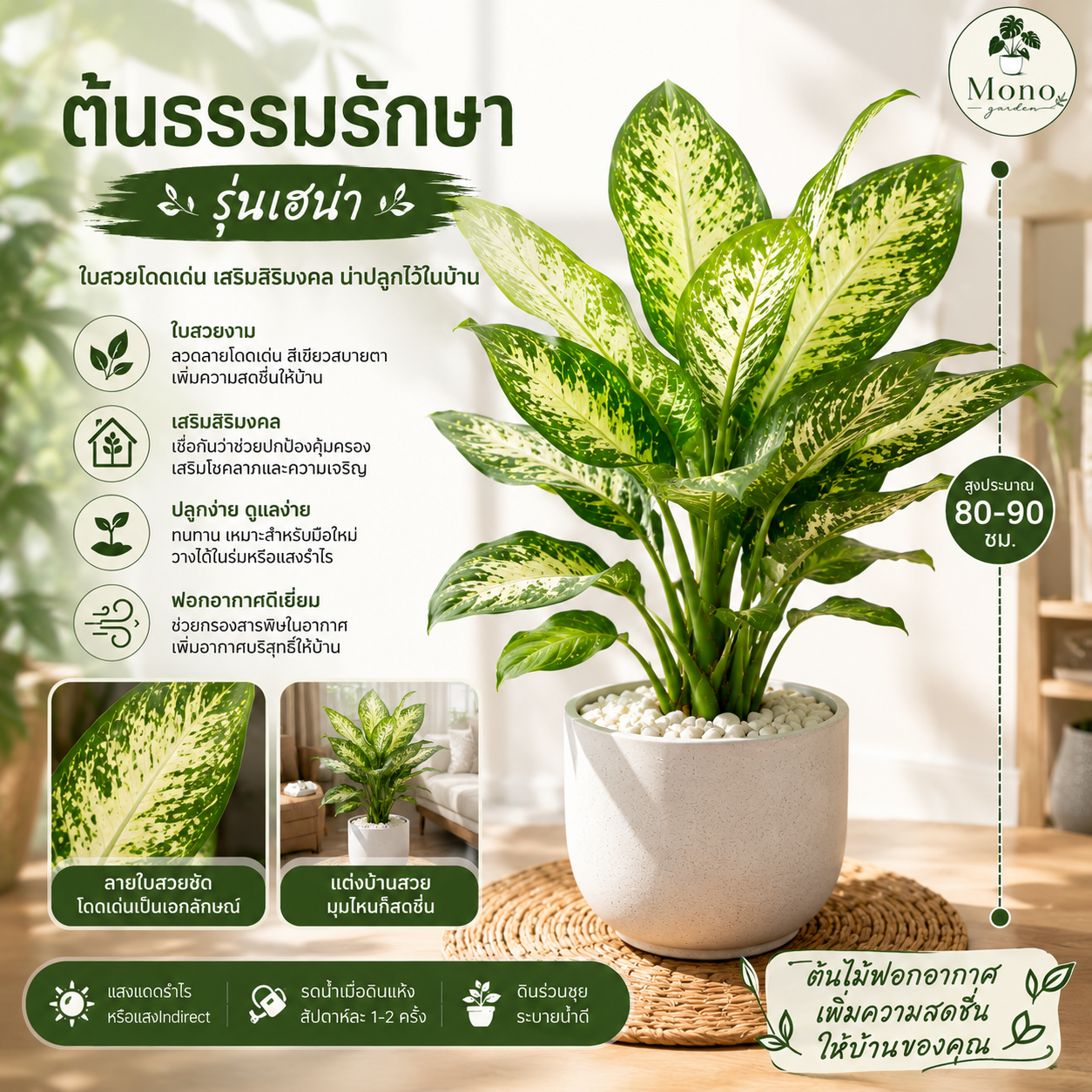 ต้นธรรมรักษา รุ่นเฮน่า